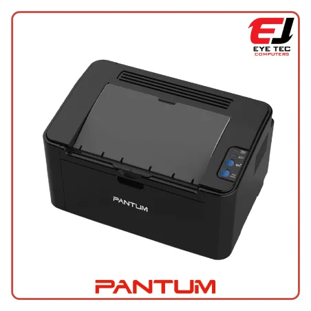 PANTUM P2500 Laser Printer